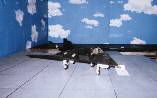 F-117̂Q